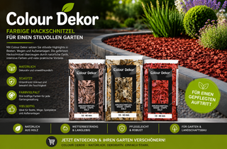 Colour Dekor