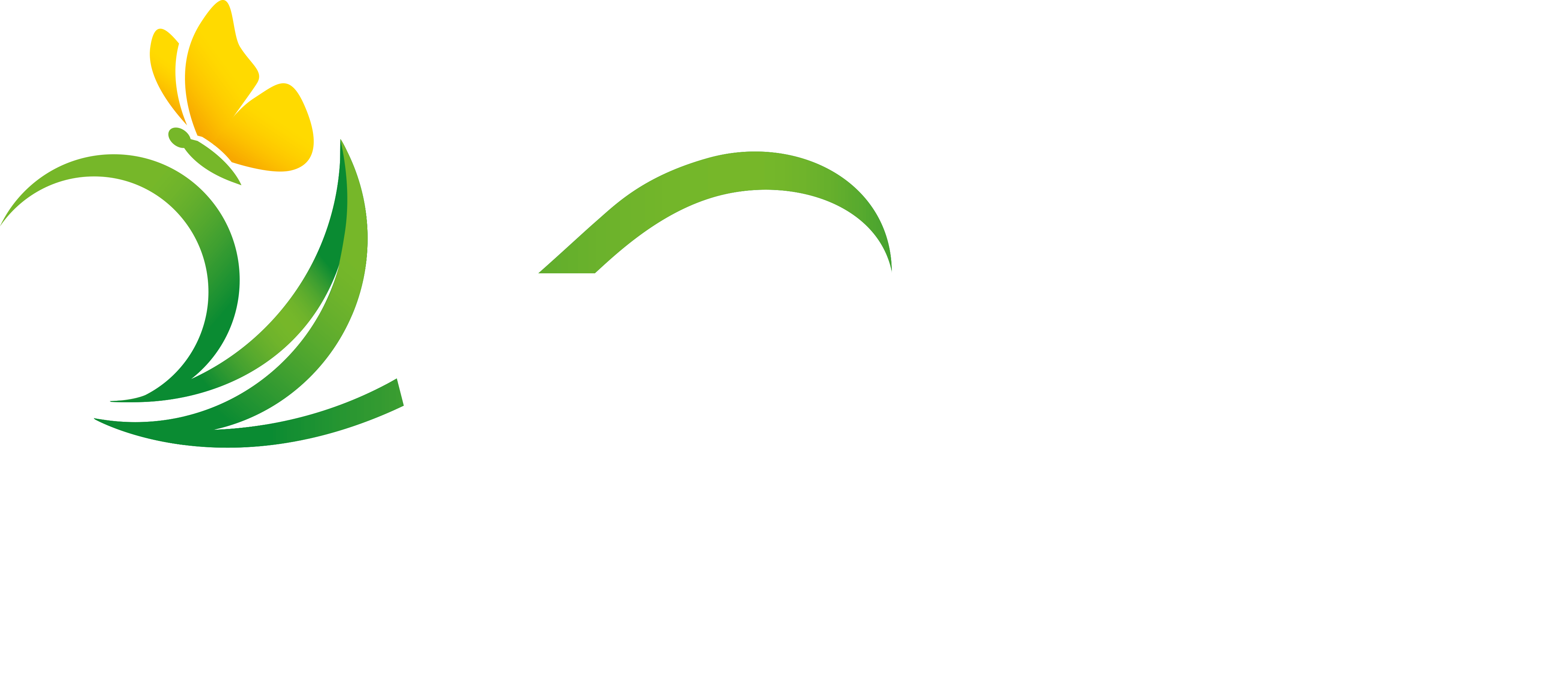 Wilsaflor GmbH & Co. KG