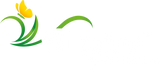 Wilsaflor - Startseite