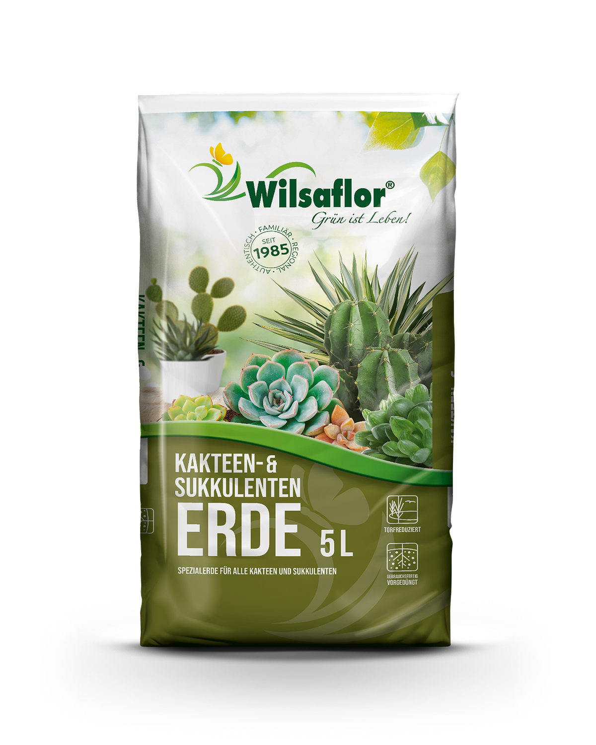 Wilsaflor Kakteenerde und Sukkulentenerde